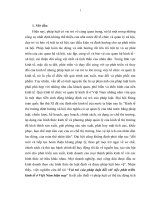 Tiểu luận  môn nhà nước pháp luật  vai trò của pháp luật đối với việc phát triển kinh tế ở việt nam hiện