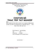 Hoàn thiện kế toán tiền lương và các khoản trích theo lương tại công ty cổ phần đầu tư thương mại và giải pháp tổng thể việt nam