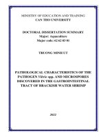 Tóm tắt luận án tiếng anh: Đặc điểm bệnh học của mầm bệnh Vibrio spp. và vi bào tử trùng hiện diện trong đường ruột ở tôm nước lợ.