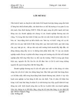 Hòan thiện kế toán bán hàng và xác định kết quả bán hàng tại công ty tnhh công nghiệp và thương mại ô tô