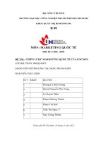 Đề tài chiến lược marketing quốc tế của cocoon