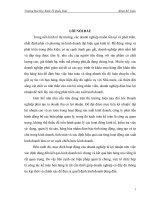 Kế toán bán hàng và xác định kết quả bán hàng tại công ty cổ phần thương mại sơn anh