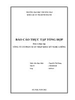 Báo cáo thực tập tại Công ty cổ phần xuất nhập khẩu kỹ nghệ á đông