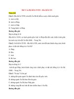 Trắc nghiệm lịch sử lớp 8 có đáp án bài  (9)