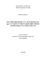 Đặc điểm bệnh học của mầm bệnh Vibrio spp. và vi bào tử trùng hiện diện trong đường ruột ở tôm nước lợ.