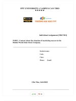 Topic content about the situation of marketing success in the mobile world joint stock company