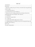 Tiểu luận cao học, môn kinh tế chính trị  quan điểm của đảng cộng sản việt nam về phát triển nền kinh tế thị trường định hướng xã hội chủ