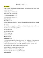 Trắc nghiệm lịch sử lớp 9 có đáp án bài  (4)