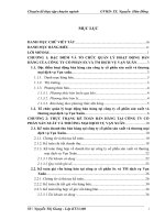 Hoàn thiện kế toán bán hàng tại công ty cổ phần sản xuất và thương mại dịch vụ vạn xuân