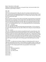 Đáp án  tham khảo từ  nhiều nguồn