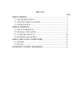 Đề án nâng cao hiệu quả quản lý nhà nước trong công tác tái hòa nhập cộng đồng cho người phạm tội chưa thành niên trên địa bàn thành phố hải phòng”
