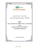 Môn seo  marketing trên công cụ tìm kiếm chủ đề kế hoạch seo cho website vagabonds shop bmt