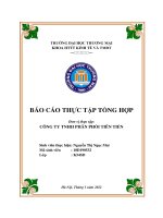 Báo cáo thực tập tại Công ty tnhh phân phối tiên tiến