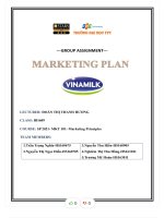 The subject that i chose is vinamilk’s company vietnam dairy farm merchandise jsc (vinamilk) may be a vietnam