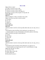 Trắc nghiệm hóa học lớp 8 có đáp án bài  (10)