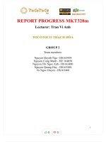 Report progress mkt328mtocotoco thạch hòa