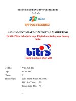 Assignment nhập môn digital marketing đề tài phân tích chiến lược digital marketing của thương hiệu bitit’s