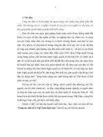 Tiểu luận môn xhh trong lãnh đạo quản lý   công tác dân số ở việt nam hiện nay