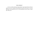 Hoàn thiện công tác kế toán nguyên vật liệu tại công ty cổ phần giầy thăng long