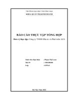 Báo cáo thực tập tại Công ty tnhh đầu tư và phát triển aza