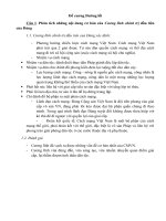 Tổng hợp  Đề cương ôn tập môn Đường lối Cách mạng Đảng cộng sản Việt Nam