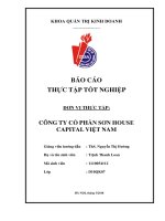 BÁO CÁO THỰC TẬP TỐT NGHIỆP - Hoạt động quản trị nhân lực của Công ty cổ phần sơn  House Capital Việt Nam giai đoạn 2015 – 2017