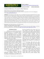 Analysis Efficiency of Luwak Coffee Business