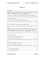 Hoàn thiện công tác kế toán vốn bằng tiền tại công ty tnhh mtv tài nguyên – môi trường biển