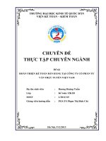 Hoàn thiện kế toán bán hàng tại công ty cổ phần tư vấn trực tuyến việt nam