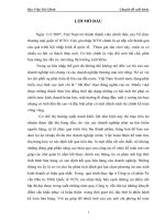 Hoàn thiện công tác kế toán bán hàng và xác định kết quả bán hàng tại công ty cổ phần tư vấn đầu tư xnk quốc tế vcn