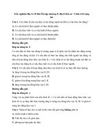 Trắc nghiệm địa lí lớp 10 có đáp án – chân trời sáng tạo bài  (42)