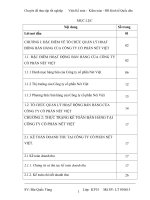 Hoàn thiện kế toán bán hàng tại công ty cổ phần nét việt