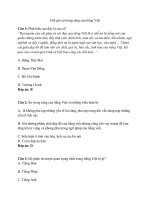 Trắc nghiệm ngữ văn lớp 12 có đáp án bài  (16)