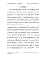 Hoàn thiện công tác kế toán bán hàng và xác định kết quả bán hàng tại công ty cổ phần đầu tư nhân hòa