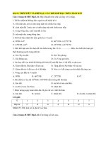 Giải sbt địa lí 6 – chân trời sáng tạo bài  (13)