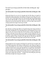 Tóm tắt tác phẩm ngữ văn lớp 6 – cánh diều bài  (22)