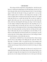 Skkn giáo dục bảo vệ môi trường trẻ 5 6 tuổi