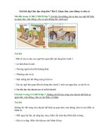 Giải sgk giáo dục công dân 7 – chân trời sáng tạo bài  (2)