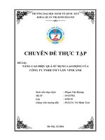 Nâng cao hiệu quả sử dụng lao động của công ty tnhh tm và dv vinh anh