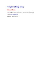 Cô gái và bông hồng   khuyết danh