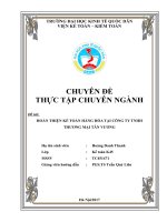 Hoàn thiện kế toán hàng hóa tại công ty tnhh thương mại tân vương