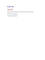 Cao vía   huệ ninh