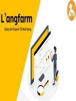 Langfarm được phát triển từ thương hiệu trà thái bảo của công ty tnhh quảng thái (thành lập từ năm 2002)