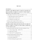 Hoàn thiện kế toán nguyên vật liệu tại công ty tnhh tư vấn đầu tư công nghệ và thiết bị an toàn thăng long