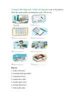 Giải sbt tiếng anh 7 friend plus– chân trời sáng tạo phần  (3)