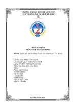 Môn kinh tế công cộng đề bài nguồn gốc sâu xa những rắc rối của trạm thu phí tào xuyên