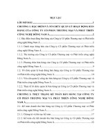 Hoàn thiện kế toán bán hàng tại công ty cổ phần thương mại và phát triển công nghệ đông nam áư