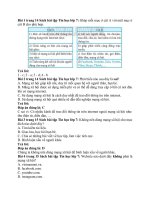 Giải sbt tin học 7 – chân trời sáng tạo bài  (5)