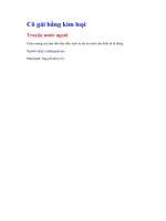 Cô gái bằng kim loại   truyện nước ngoài