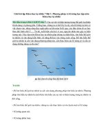 Giải sgk khoa học tự nhiên 7 – chân trời sáng tạo phần  (1)